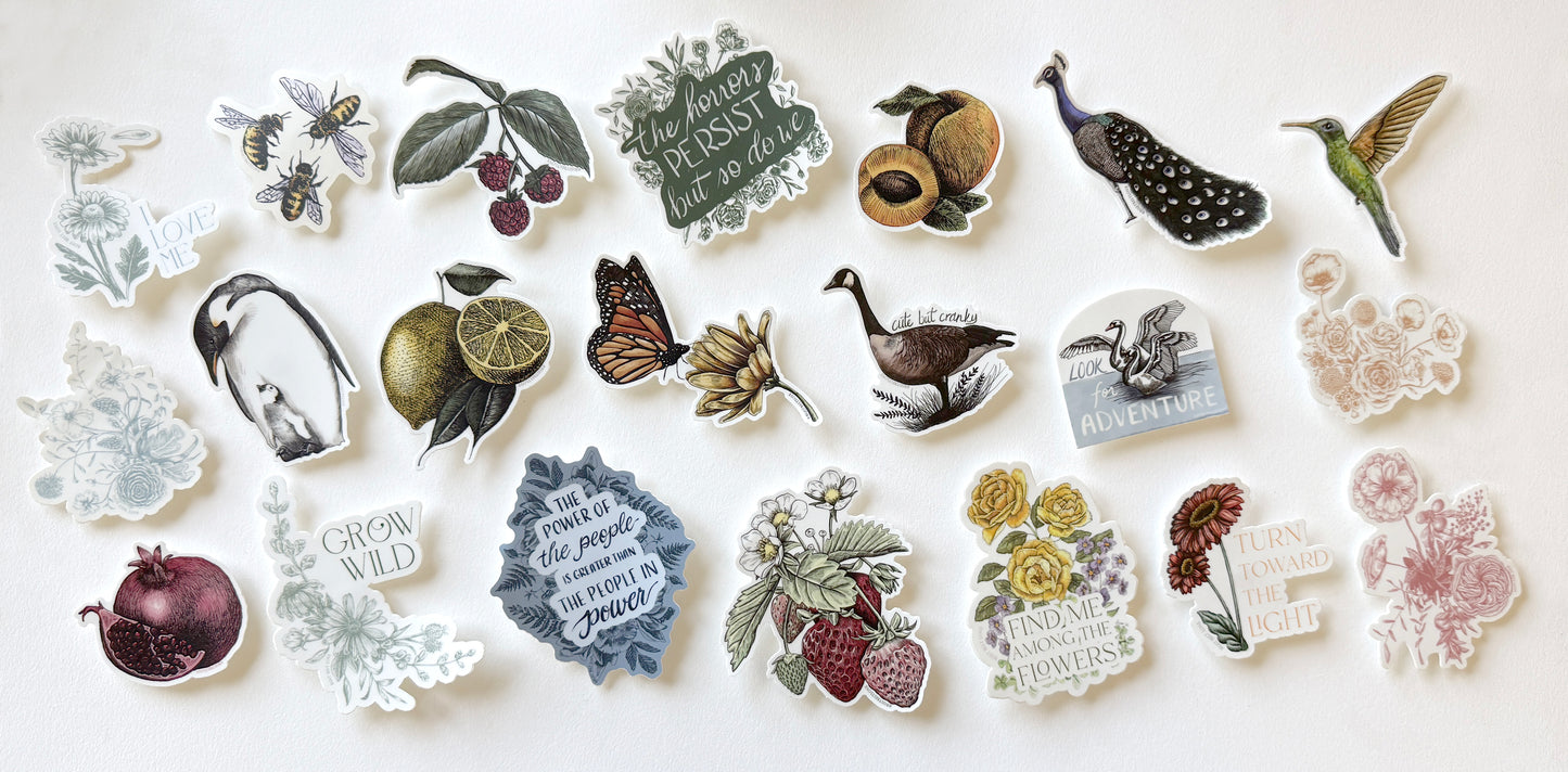 Pomegranate Sticker – 3"