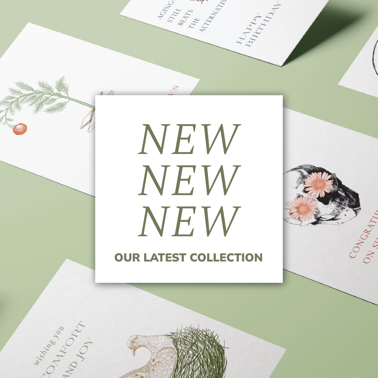 Our Newest Collection!
