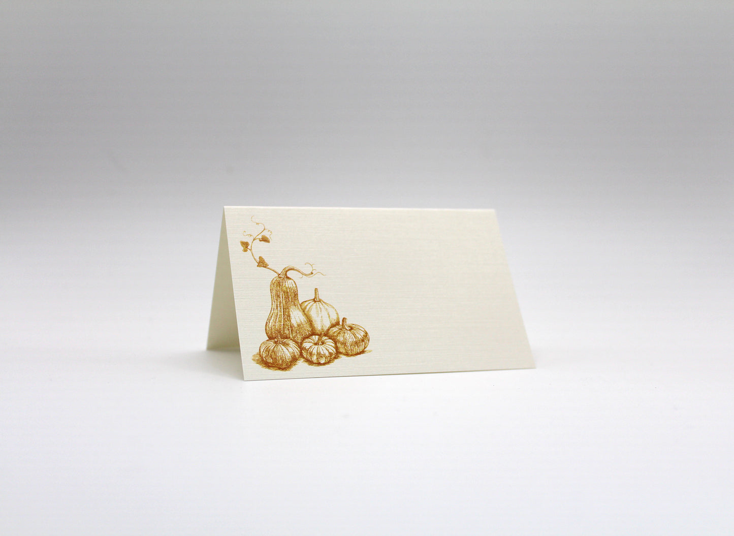 Autumn Harvest Place Cards- Double-sided Table Tents (Set of 12)