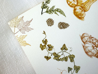 Autumn Harvest Placemats (Set of 12)