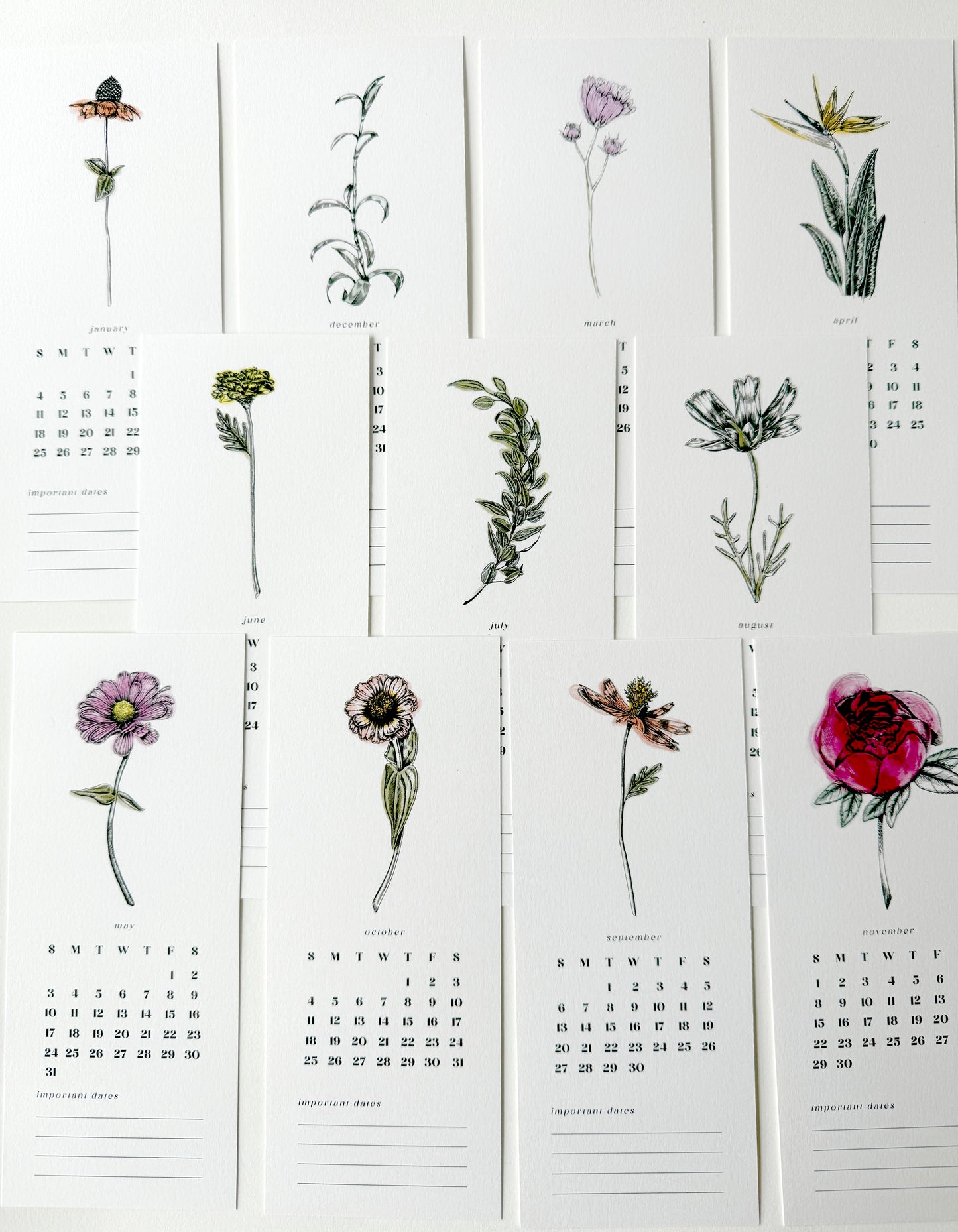 2026 Botanical Desk Calendar – Spiral Bound