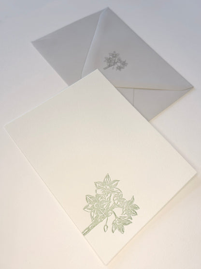 Letterpress flat note card with a green paperwhite by Rust Belt Love