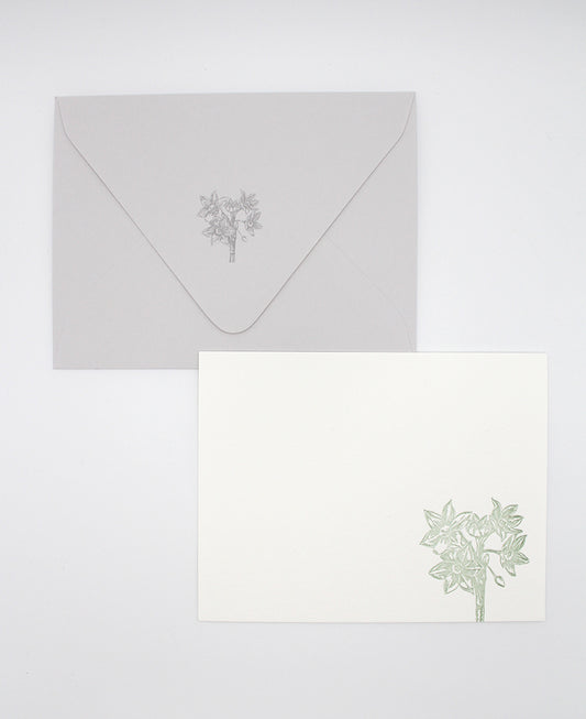 Letterpress flat note card with a green paperwhite by Rust Belt Love