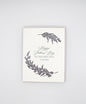 Letterpress card with greenery that reads "Happy Father's Day to the first man i loved" by Rust Belt Love
