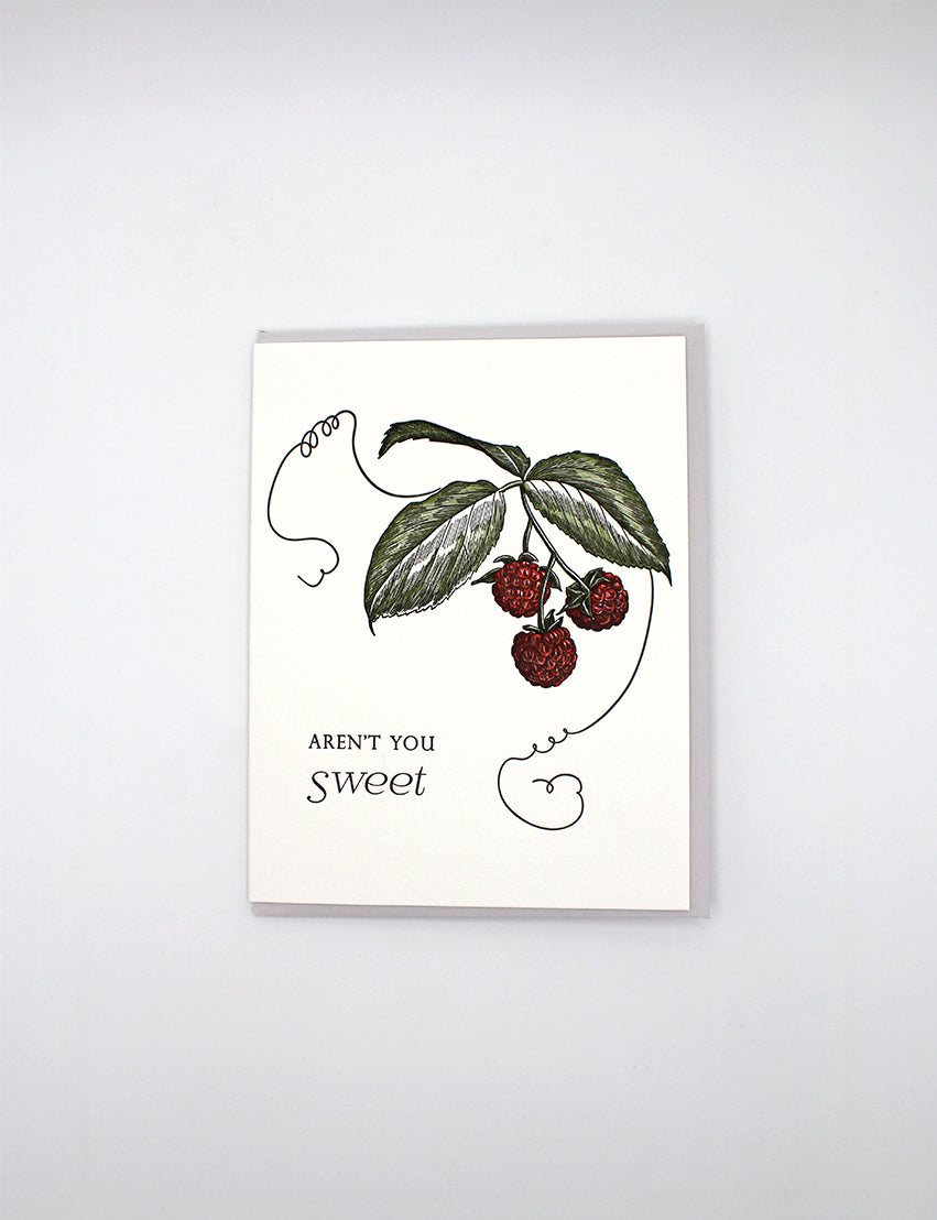 Aren't You Sweet Friendship Letterpress Greeting Card