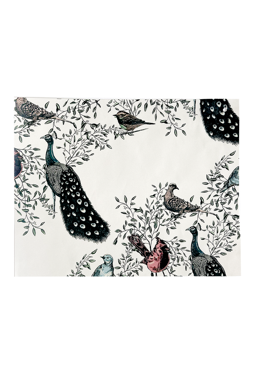 Bird print wrapping paper swatch by Rust Belt Love