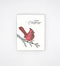 Letterpress holiday card with cardinal that says "Merry Christmas" by Rust Belt Love