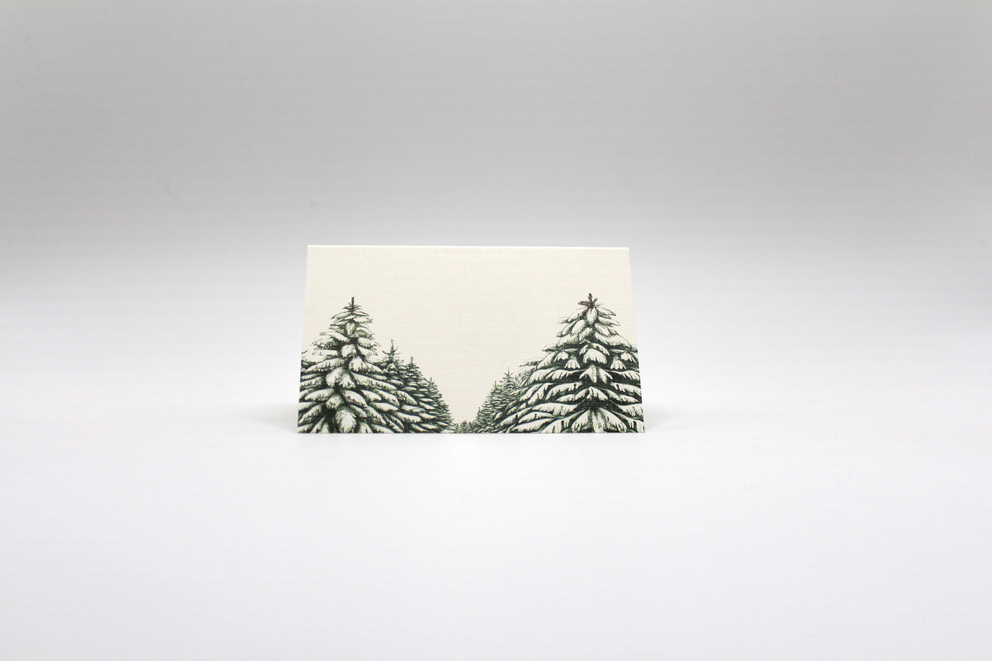 Holiday Forest Place Cards- Double-sided Table Tents (Set of 12)