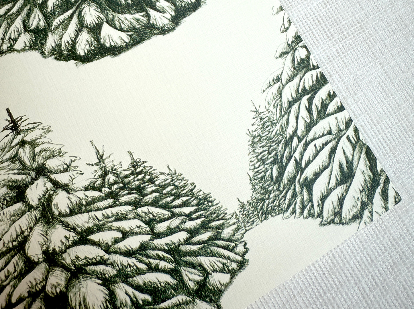 Holiday Forest Placemat (Set of 12)