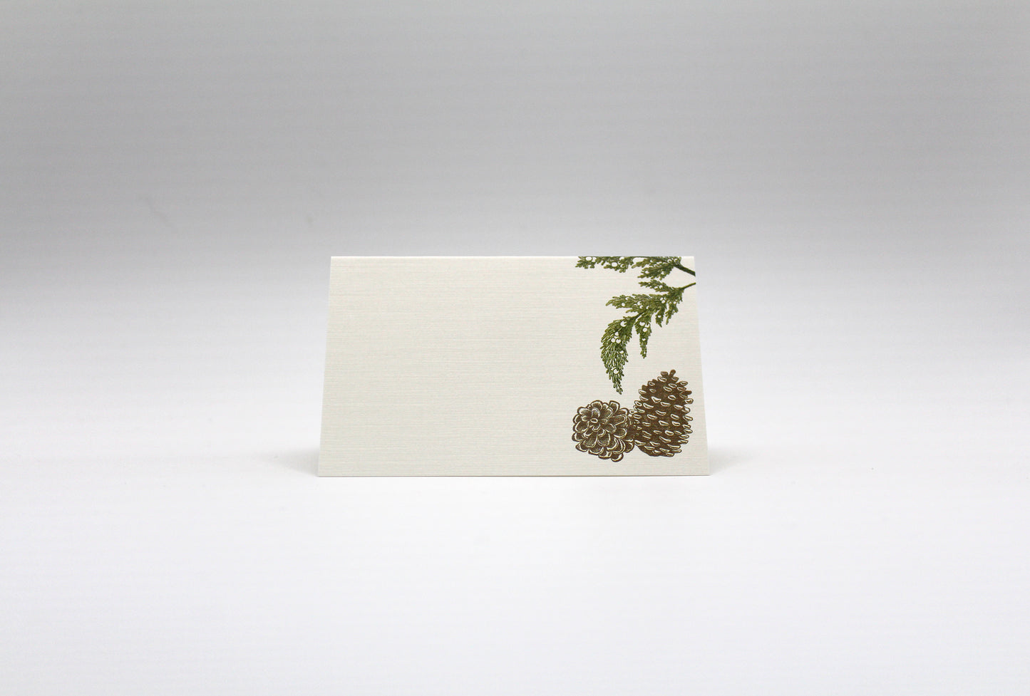 Pinecone Place Cards- Double-sided Table Tents (Set of 12)