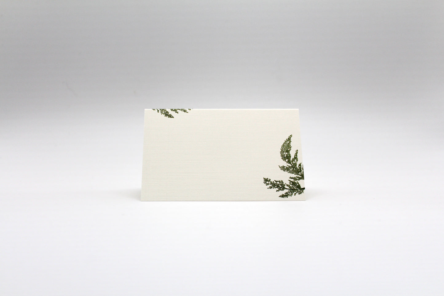 Pinecone Place Cards- Double-sided Table Tents (Set of 12)