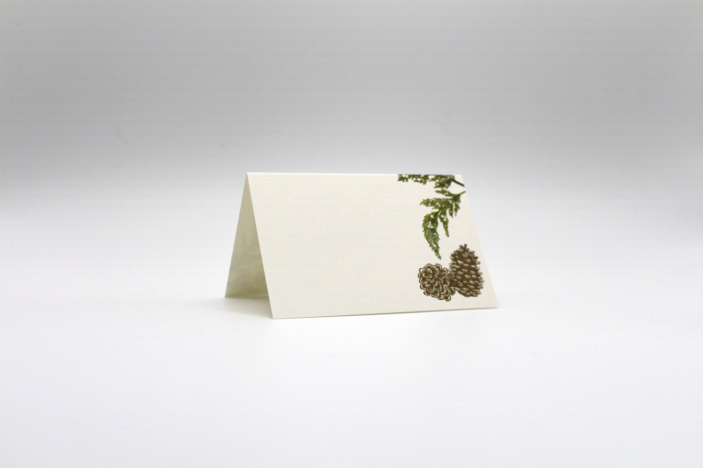 Pinecone Place Cards- Double-sided Table Tents (Set of 12)