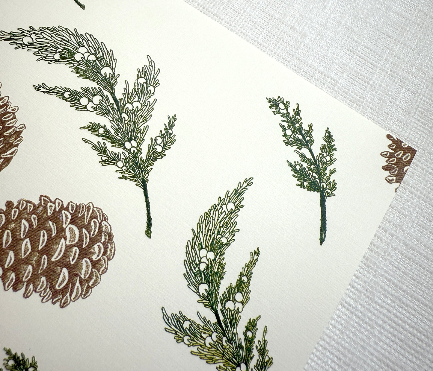 Pinecone & Juniper Placemats (Set of 12)