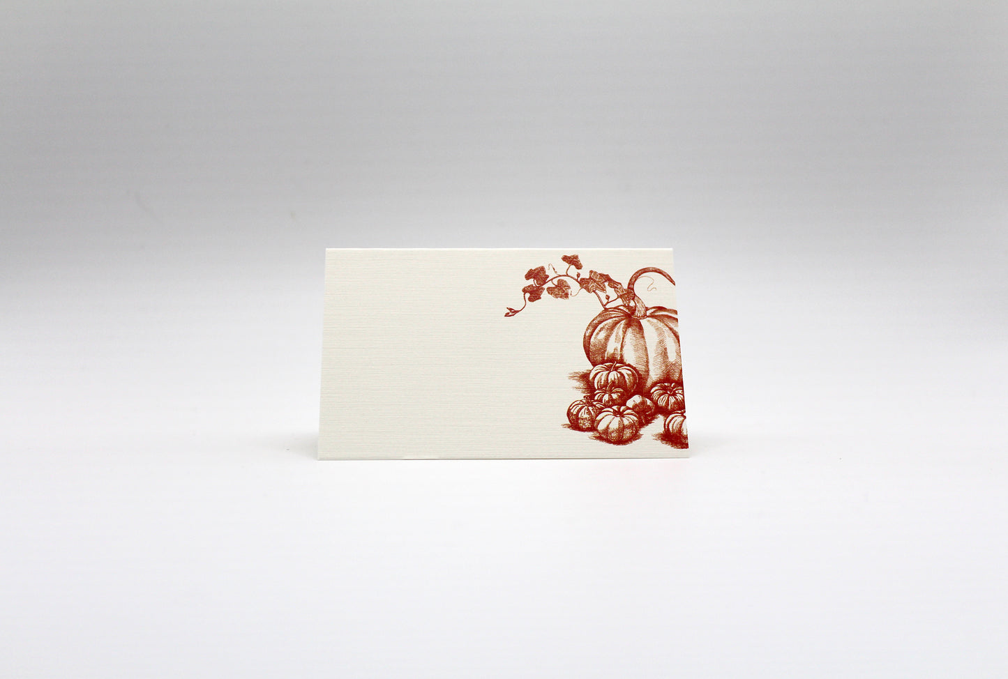 Pumpkins & Squash Place Cards- Double-sided Table Tents (Set of 12)