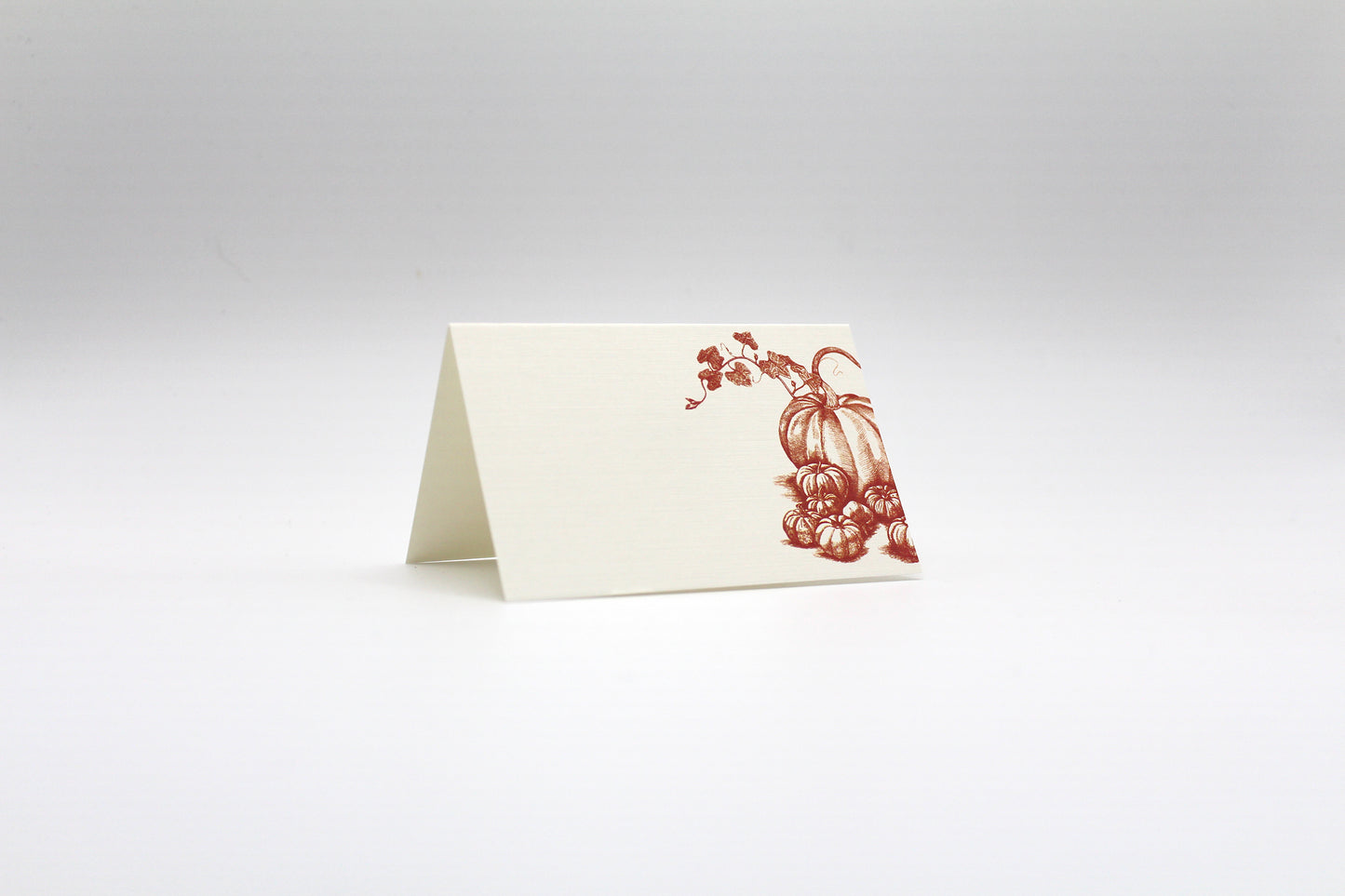 Pumpkins & Squash Place Cards- Double-sided Table Tents (Set of 12)