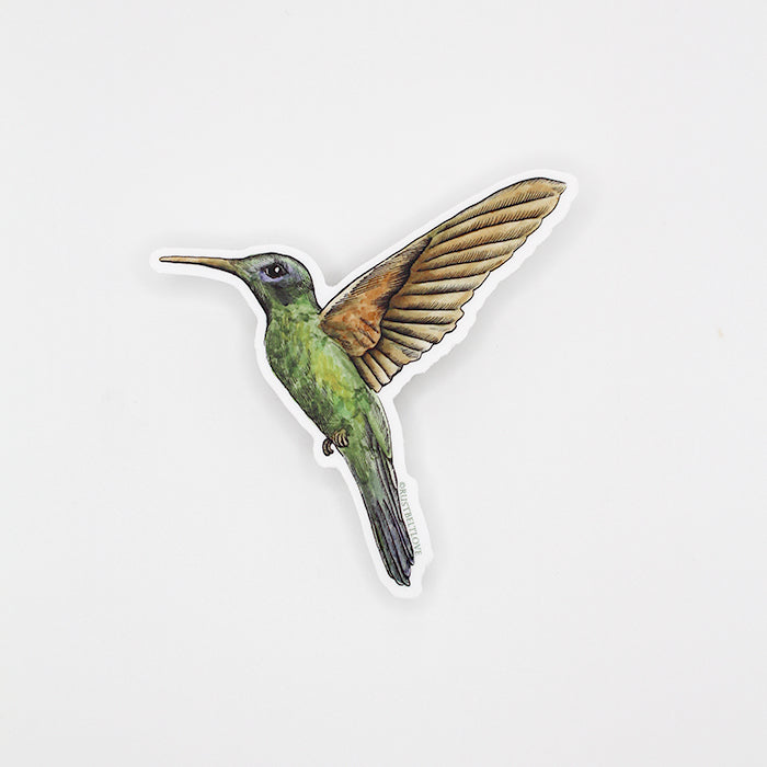 Hummingbird Sticker – 3"