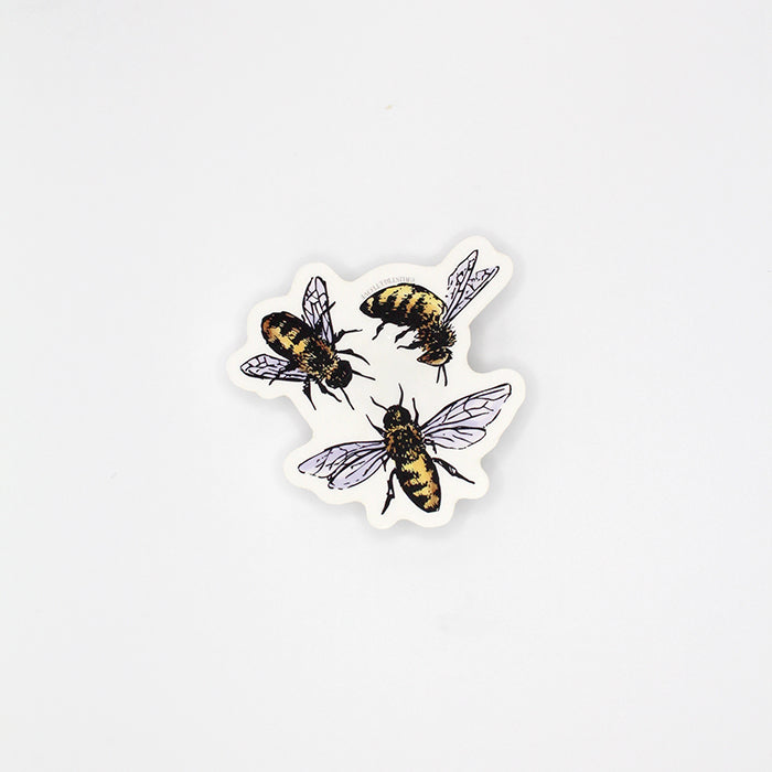 CLEAR Little Bees Sticker – 2.5"