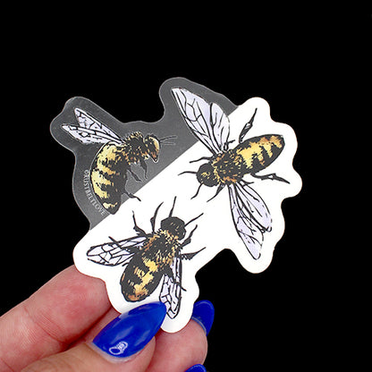 CLEAR Little Bees Sticker – 2.5"