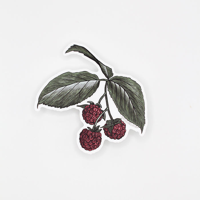 Raspberry Sticker – 3"