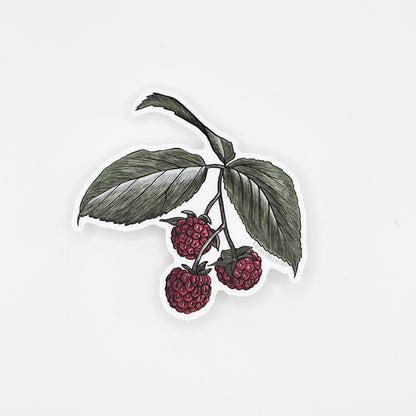 Raspberry Sticker – 3"