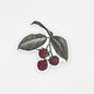 Raspberry Sticker – 3"