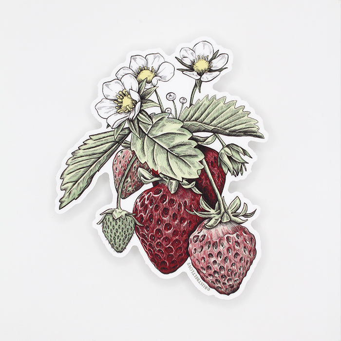 Strawberry Sticker – 4"