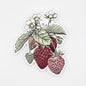 Strawberry Sticker – 4"