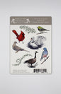 Backyard Birds Clear Sticker Sheet