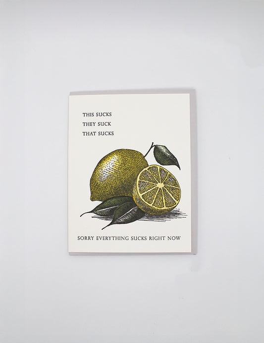 Sorry Everything Sucks Right Now Letterpress Greeting Card