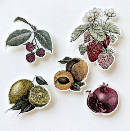 Pomegranate Sticker – 3"